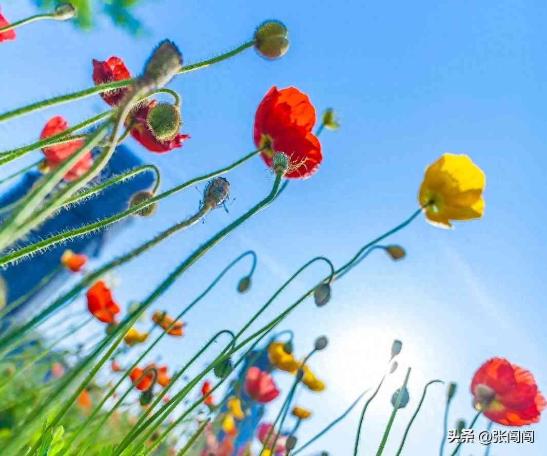 怎么样赚钱:适合普通人搞钱的7个赚钱思路(超级干货) 怎么样赚钱:适合普通人搞钱的7个赚钱思路(超级干货)