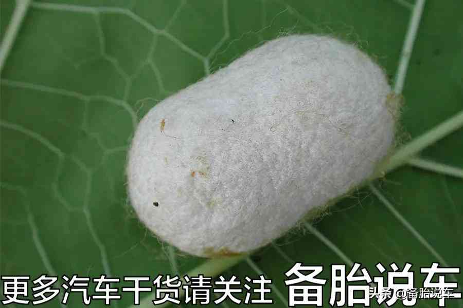 奔驰网络负面评价与市场销量反差现象剖析 奔驰网络负面评价与市场销量反差现象剖析