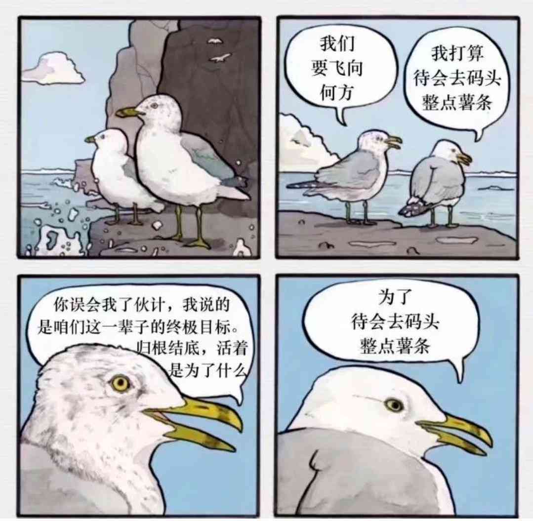 索尼w610怎么样 喂过一次大连海鸥，人类就要为自己的弱小羞愧
