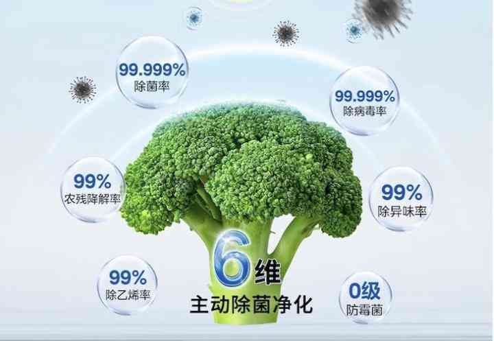 东芝冰箱质量怎么样?东芝冰箱是进口的吗?哪些型号性价比高? 东芝冰箱质量怎么样?东芝冰箱是进口的吗?哪些型号性价比高?