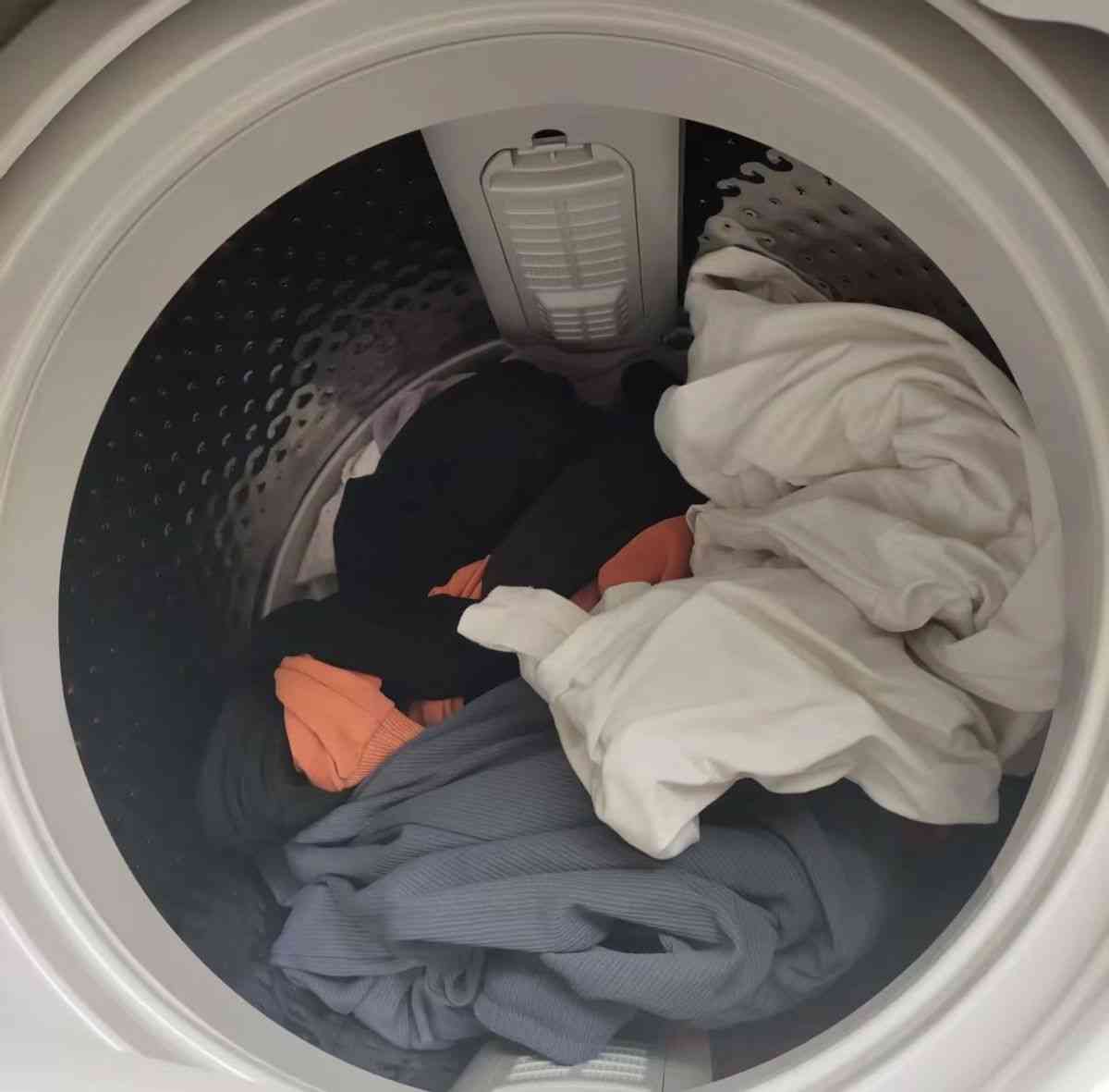 海尔统帅洗衣机质量怎么样?洗衣机哪个牌子好?海尔、小天鹅还是美的?了解后下单也不迟 海尔统帅洗衣机质量怎么样?洗衣机哪个牌子好?海尔、小天鹅还是美的?了解后下单也不迟