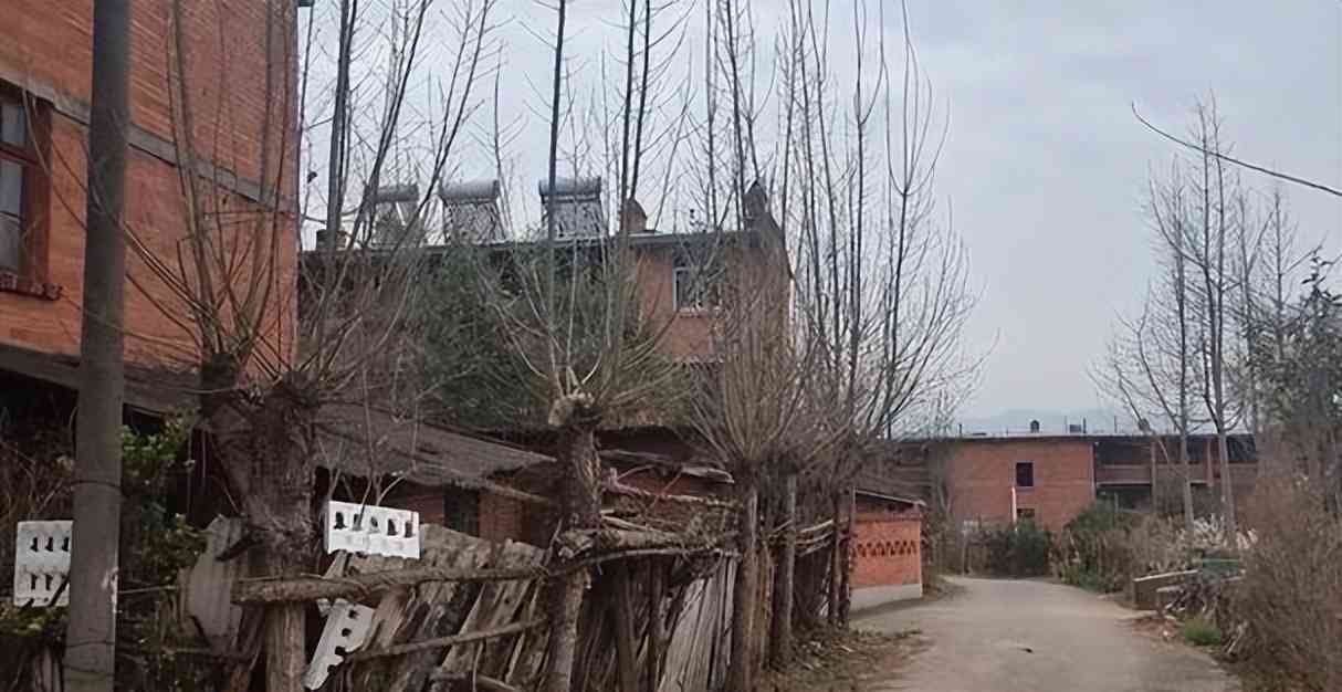 夏普厂怎么样